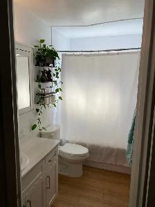 newly renovated 2 bedroom apartment private balcony fergus