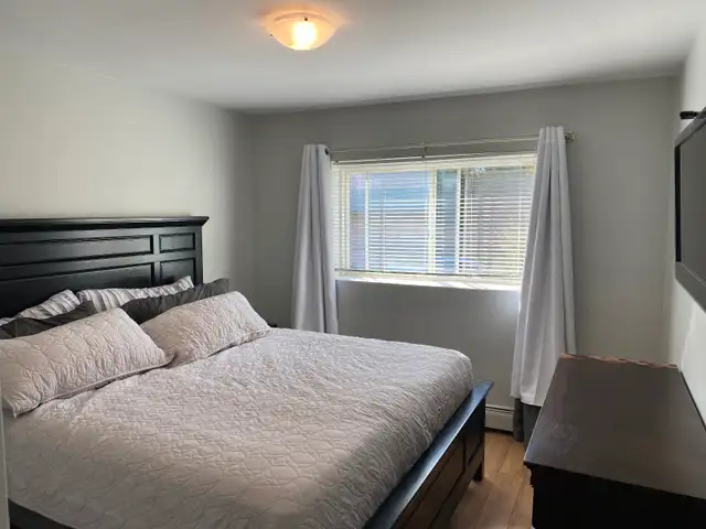 newly renovated 2 bedroom apartment private balcony fergus - Photo 3