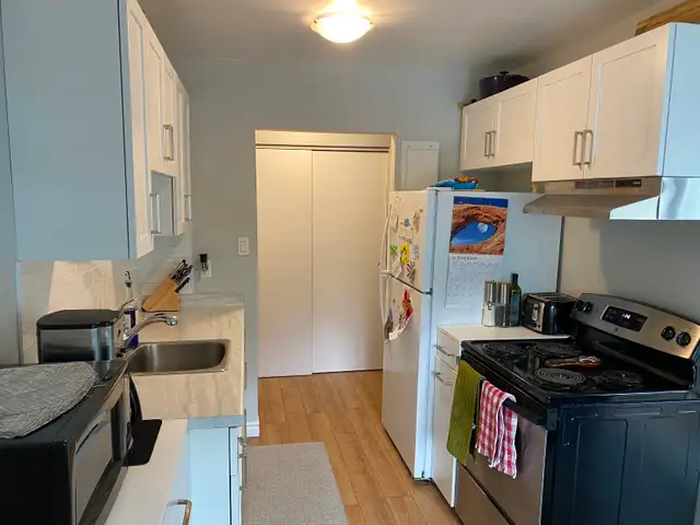 newly renovated 2 bedroom apartment private balcony fergus - Photo 5