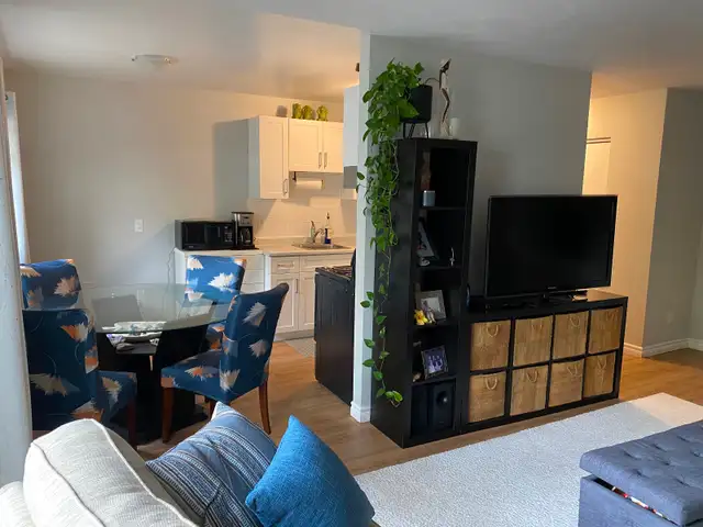 newly renovated 2 bedroom apartment private balcony fergus - Photo 6