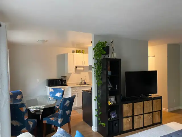 newly renovated 2 bedroom apartment private balcony fergus - Photo 7