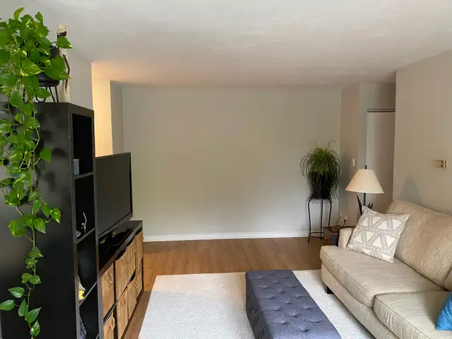 newly renovated 2 bedroom apartment private balcony fergus - Photo 8