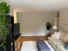 newly renovated 2 bedroom apartment private balcony fergus - Photo 8