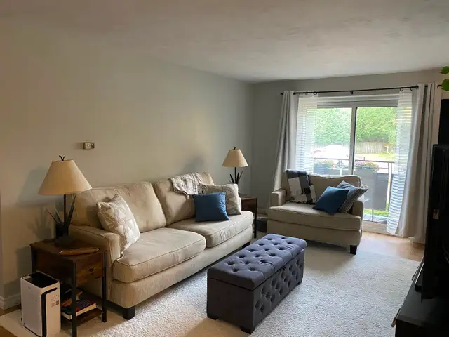 newly renovated 2 bedroom apartment private balcony fergus - Photo 10