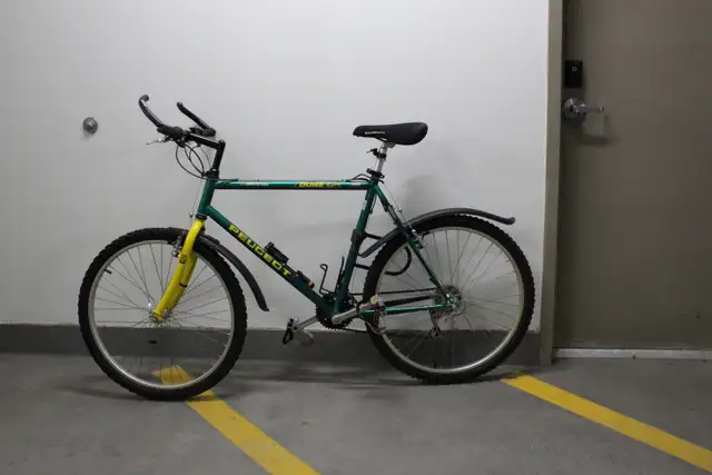 Peugeot Touring Bike