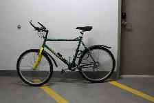 Peugeot Touring Bike