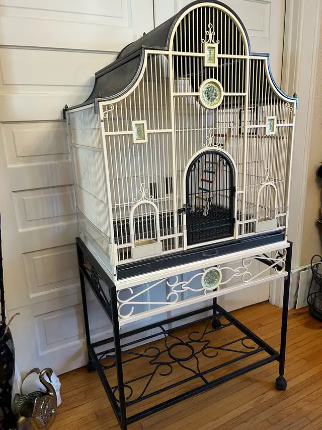 large fancy exotic bird cage