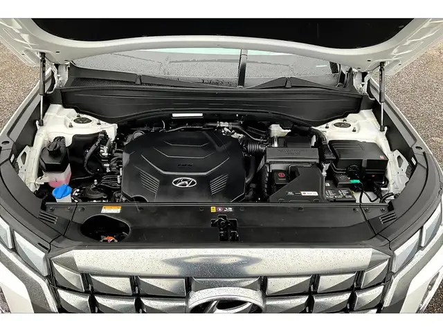 2025 Hyundai Palisade Ultimate Calligraphy 7Seat AWD - Photo 9
