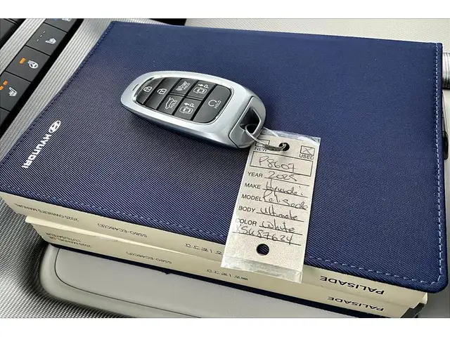 2025 Hyundai Palisade Ultimate Calligraphy 7Seat AWD - Photo 10