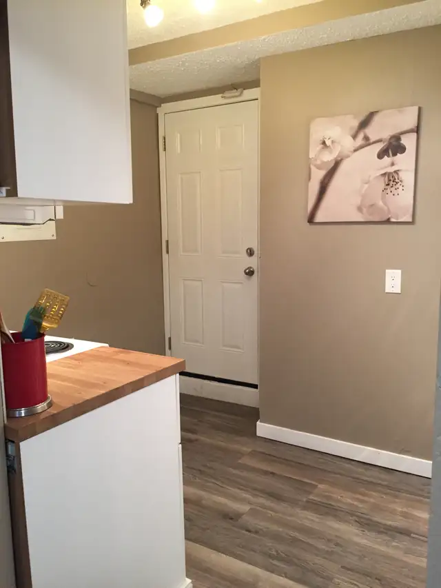 Furnished Bachelor Suite in Swift Current - Photo 7