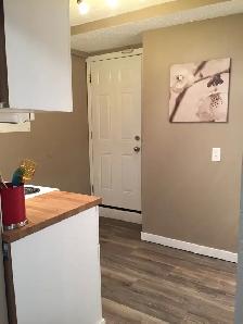 Furnished Bachelor Suite in Swift Current - Photo 7
