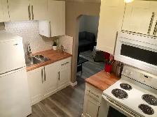 Furnished Bachelor Suite in Swift Current - Photo 8