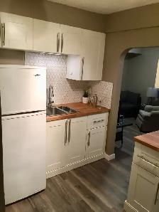 Furnished Bachelor Suite in Swift Current - Photo 9