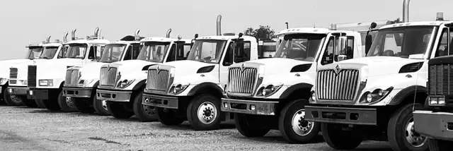 Experienced Paving Staff & Class 3 Tandem Driver - Photo 8