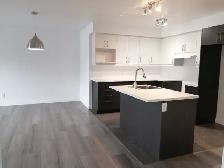 APPARTEMENT/CONDO4 ½ 20435,  Boul. Henri-Bourassa, Qc - Photo 7