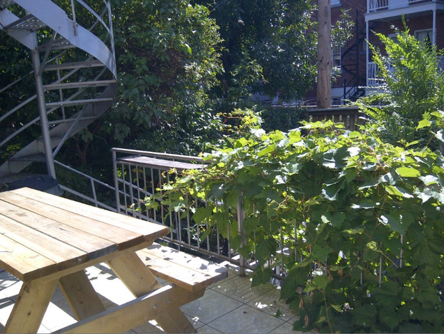 2 chambres disponibles dans nos colocations étudiantes mai/juin - Photo 9