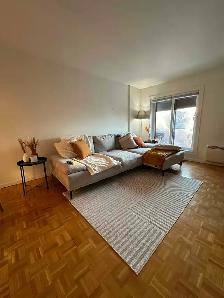 Appartement 4 1/2 à louer - Rosemont
