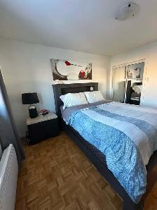 Appartement 4 1/2 à louer - Rosemont - Photo 9
