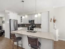 Custom-Built Owner-Occupied Duplex in St. Boniface! Seperate Utl - Photo 5