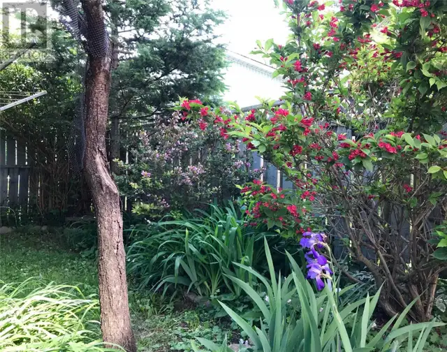 1 Den Bedrooms with Bath House (BSM) For Rent - Photo 9