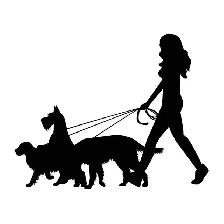 dog walker/sitter available - Photo 2