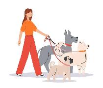 dog walker/sitter available - Photo 3