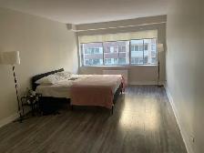 Furnished Studio apartment near McGill and Concordia