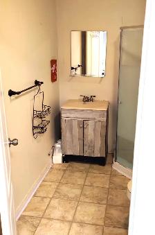 Spacious Basement suite for rent in Centrepointe - Photo 5