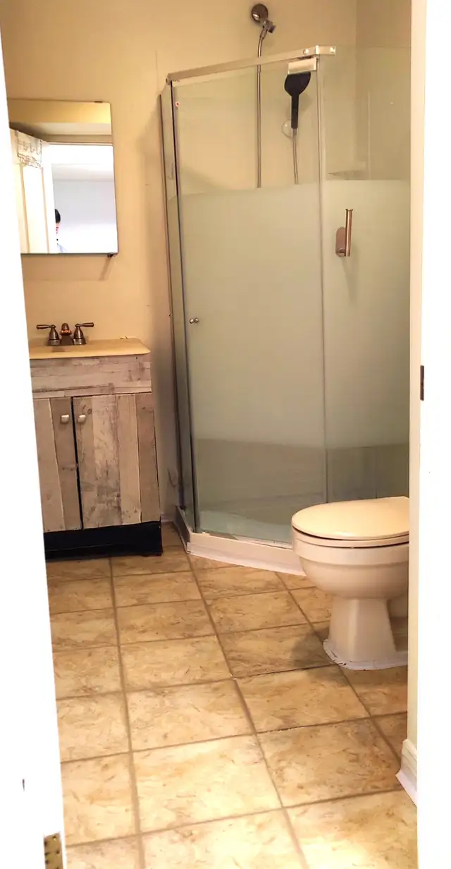 Spacious Basement suite for rent in Centrepointe - Photo 6