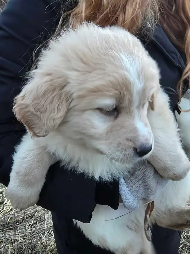 looking for good homes - Photo 6