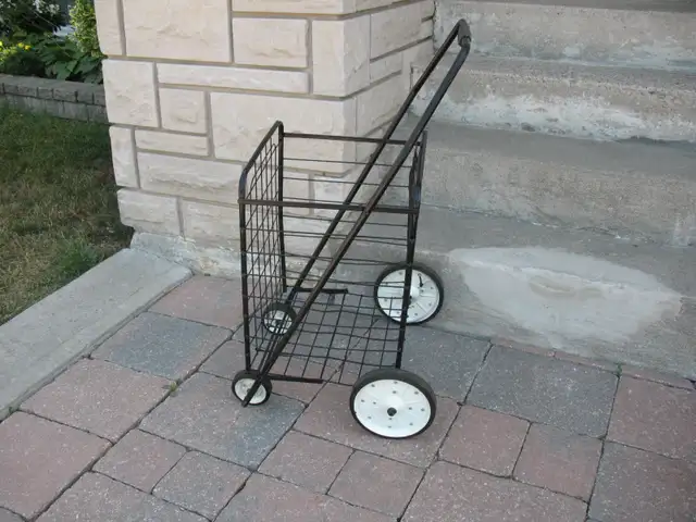 Large Folding Shopping Cart, $45