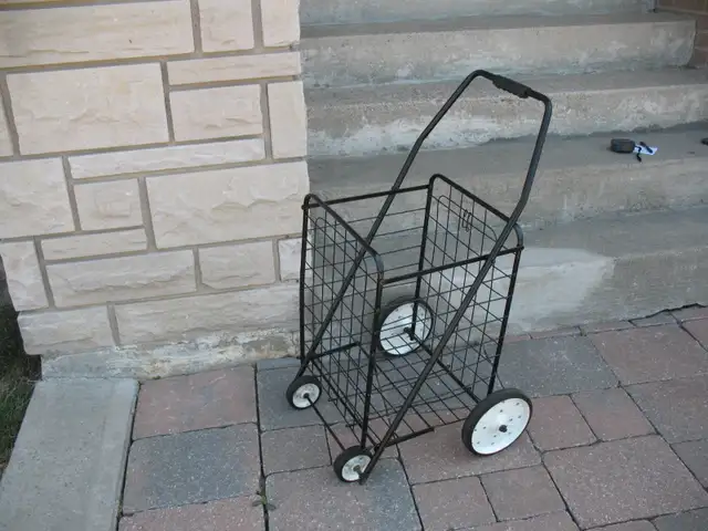 Large Folding Shopping Cart, $45 - Photo 2