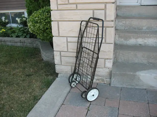 Large Folding Shopping Cart, $45 - Photo 5