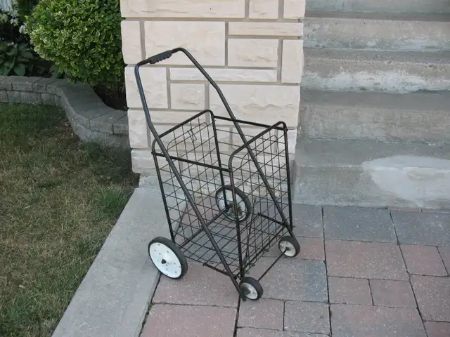 Large Folding Shopping Cart, $45 - Photo 7