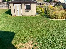 FORT  ERIE  -  RENT  TO  OWN  HOME - Photo 9