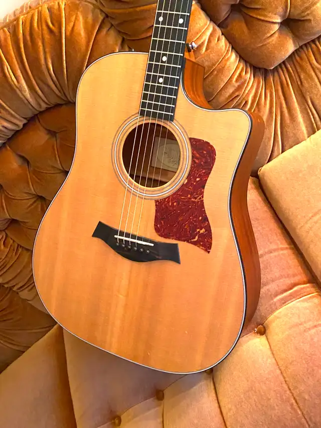 TAYLOR 310ce ALL SOLID Wood Guitar with Taylor Archtop CASE ! - Photo 2