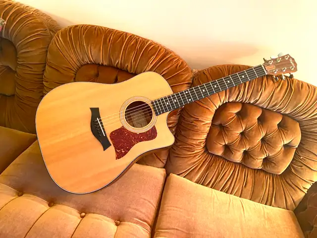 TAYLOR 310ce ALL SOLID Wood Guitar with Taylor Archtop CASE ! - Photo 3