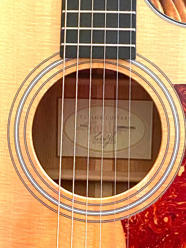 TAYLOR 310ce ALL SOLID Wood Guitar with Taylor Archtop CASE ! - Photo 4