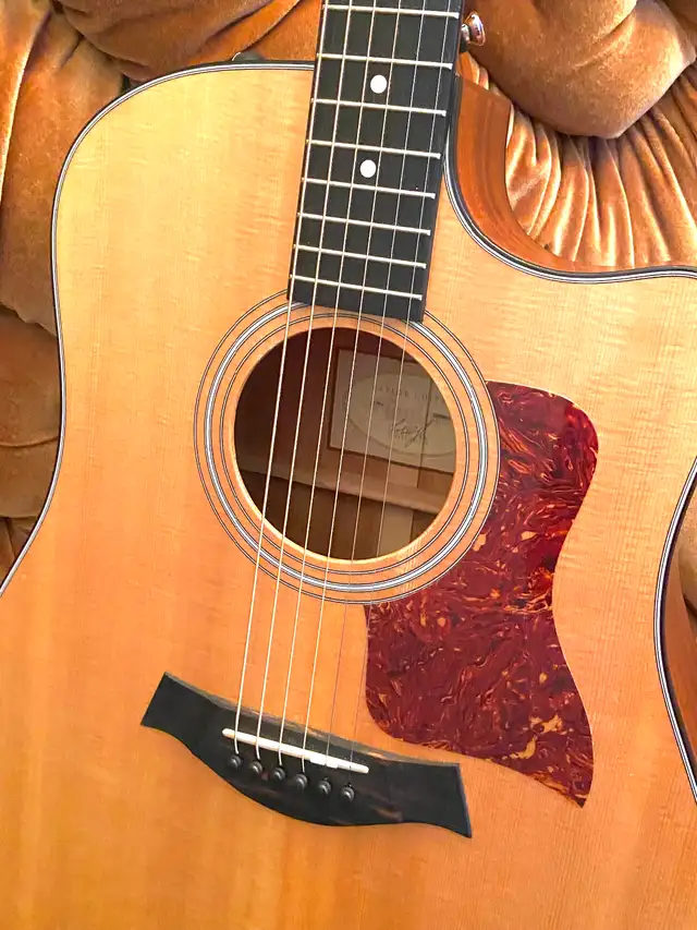 TAYLOR 310ce ALL SOLID Wood Guitar with Taylor Archtop CASE ! - Photo 10