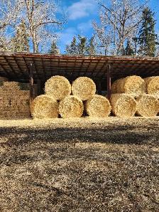 straw for sale - Photo 2