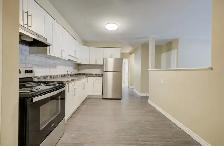 RENOVATED 3BR APARTMENT   BALCONY – 1 MONTH FREE! - Photo 6