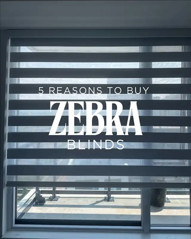 Zebra Blinds/Roller shadesHuge 70% OFF Sale – Limited Time Only!