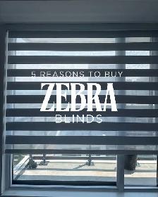 Zebra Blinds/Roller shadesHuge 70% OFF Sale – Limited Time Only!