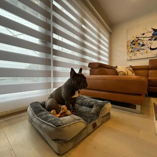 Zebra Blinds/Roller shadesHuge 70% OFF Sale – Limited Time Only! - Photo 3