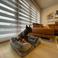 Zebra Blinds/Roller shadesHuge 70% OFF Sale – Limited Time Only! - Photo 3