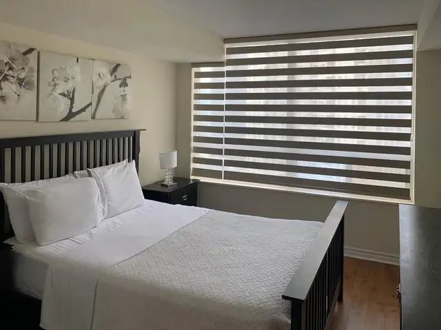Zebra Blinds/Roller shadesHuge 70% OFF Sale – Limited Time Only! - Photo 5