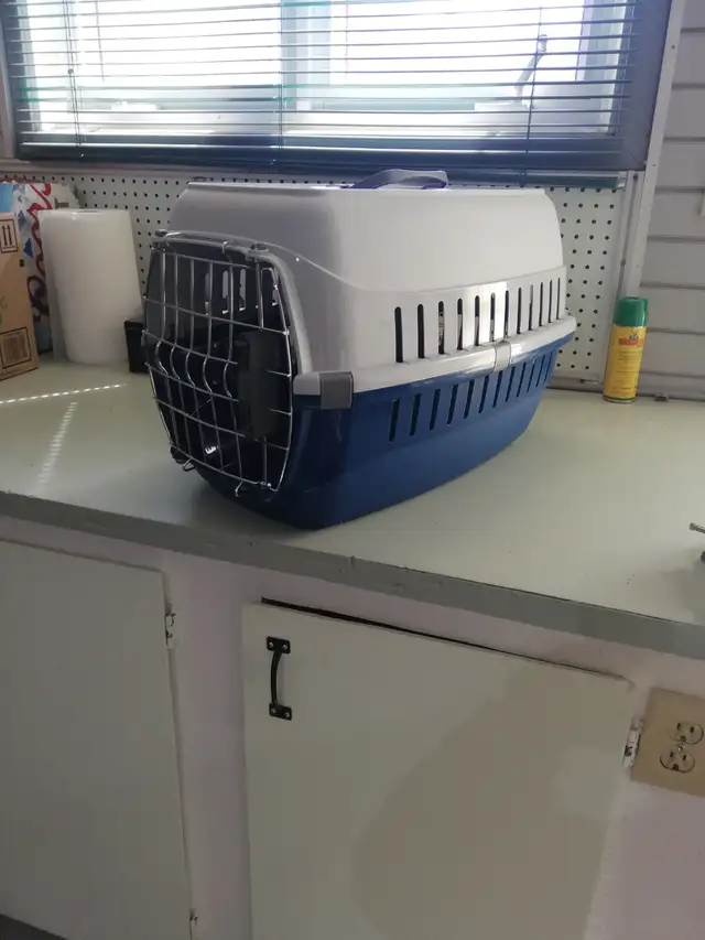 cage de transport pour petit chien