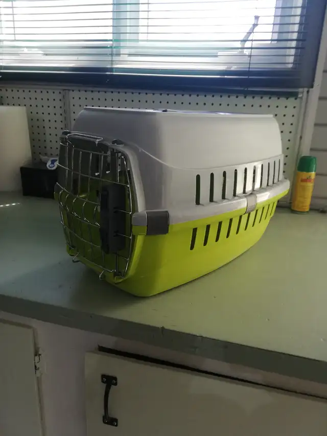 cage de transport pour petit chat