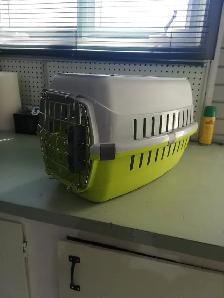 cage de transport pour petit chat