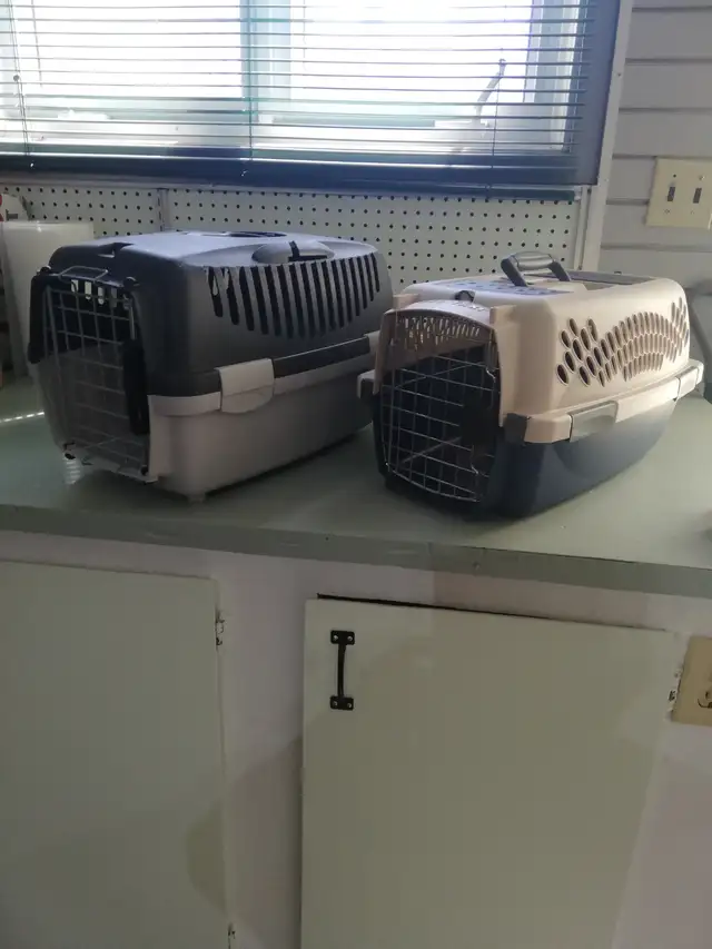 cage de transport pour petit animaux